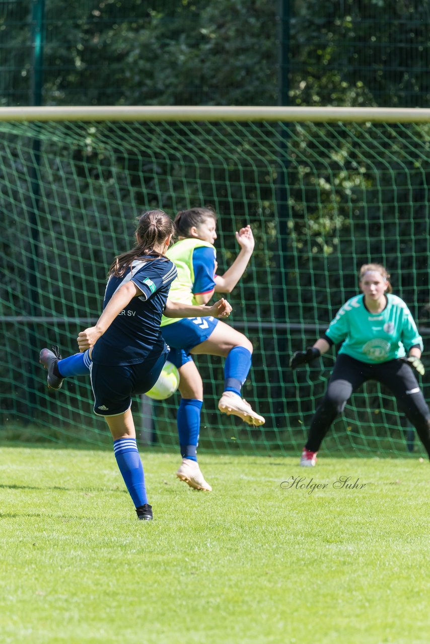 Bild 267 - B-Juniorinnen VfL Pinneberg - HSV : Ergebnis: 1:4